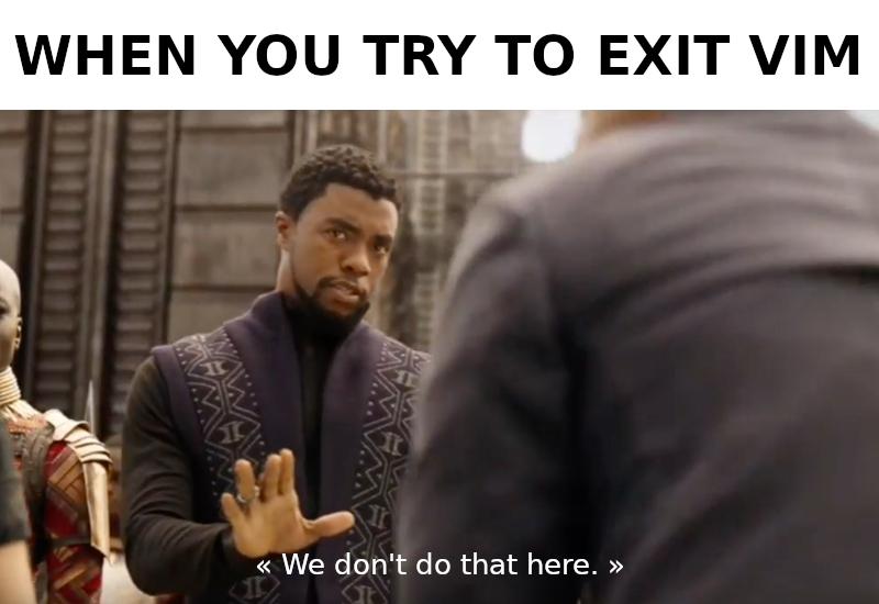 Vim meme exit