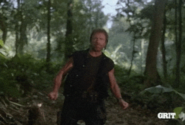android snippets chuck norris